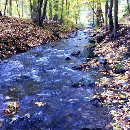 Waldhäuschen Am Waldesrand Ferienhaus
