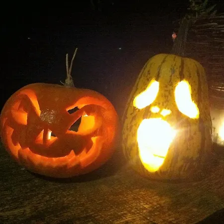 Ferienhaus Waldhäuschen Am Waldesrand